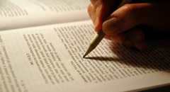 售后服务贴心的ddos在线网页端